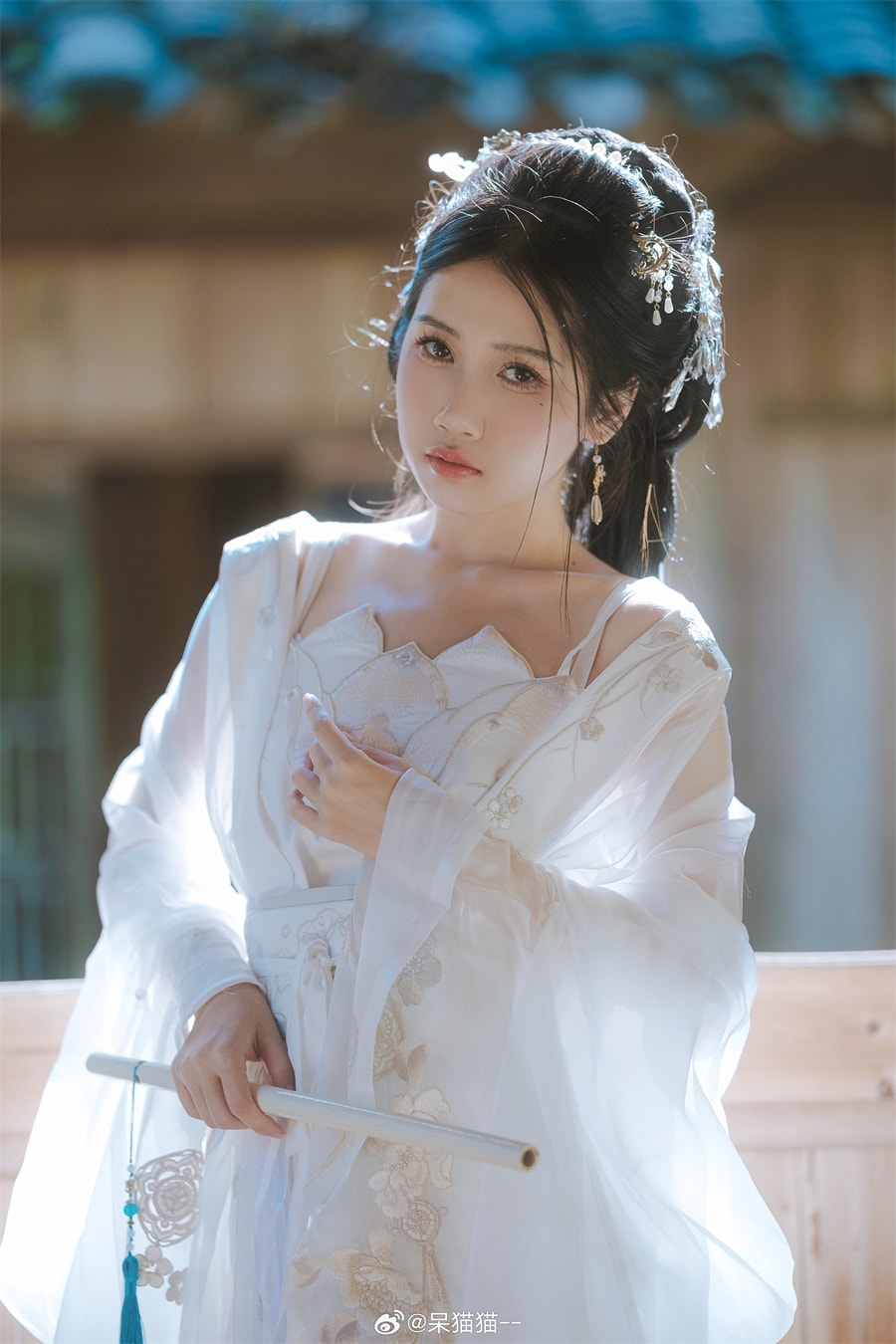 呆猫猫仙女姐姐写真