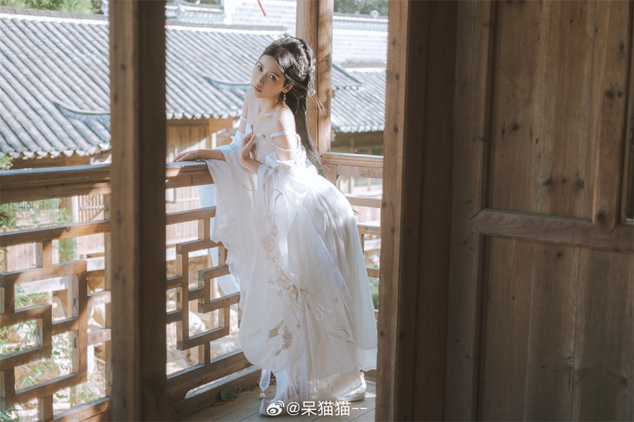 呆猫猫仙女姐姐写真